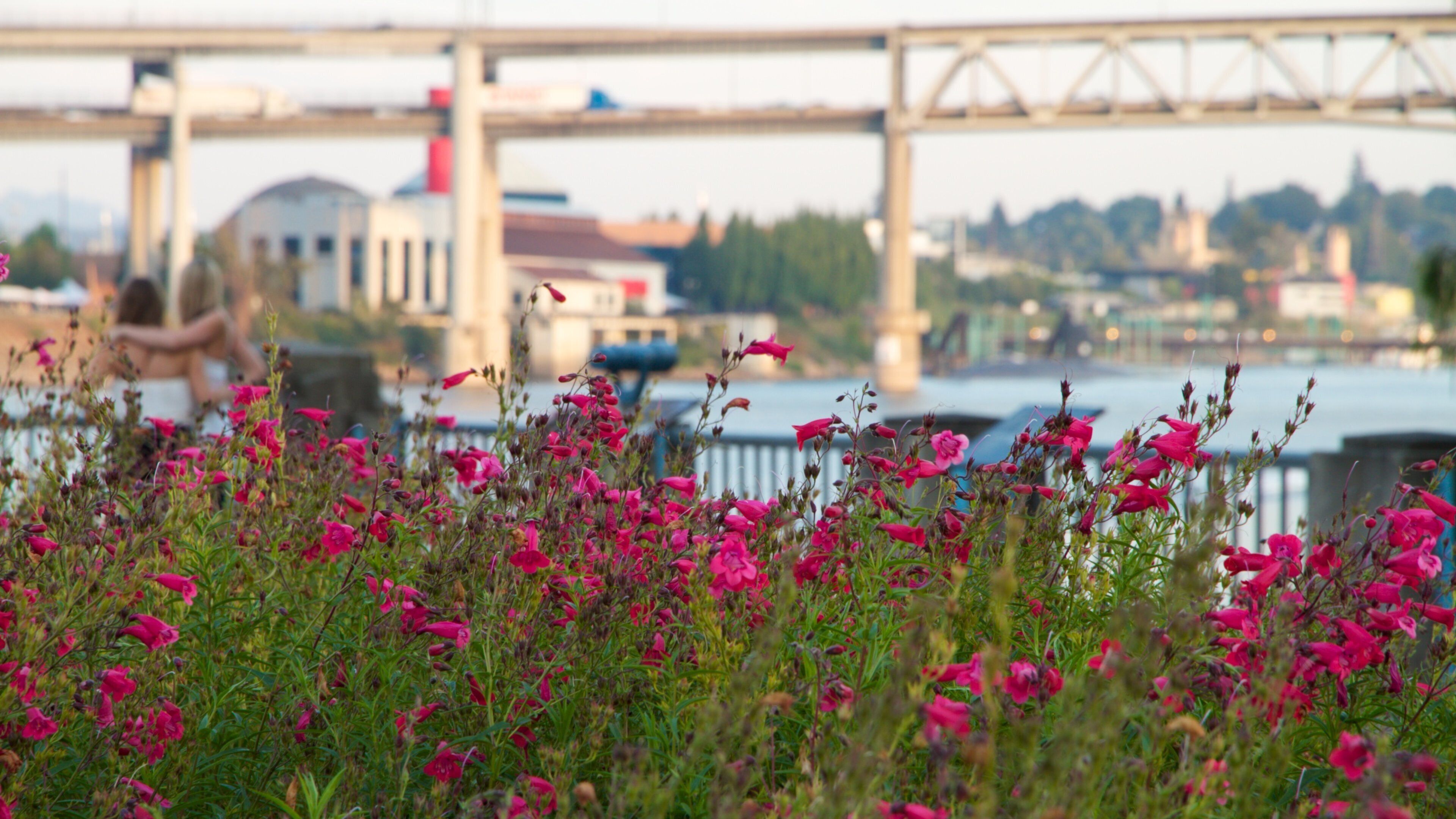 Visit breathtaking Tom McCall Waterfront Park in Portland, Oregon, framed by vibrant flowers and stunning views along the river