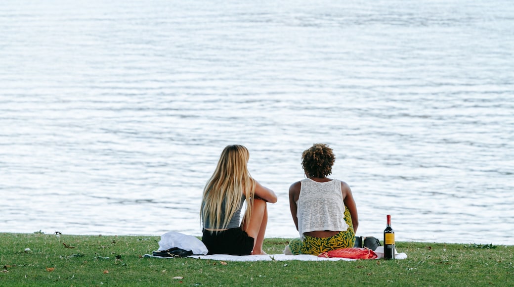 Tom McCall Waterfront Park which includes picnicing and a lake or waterhole as well as a couple