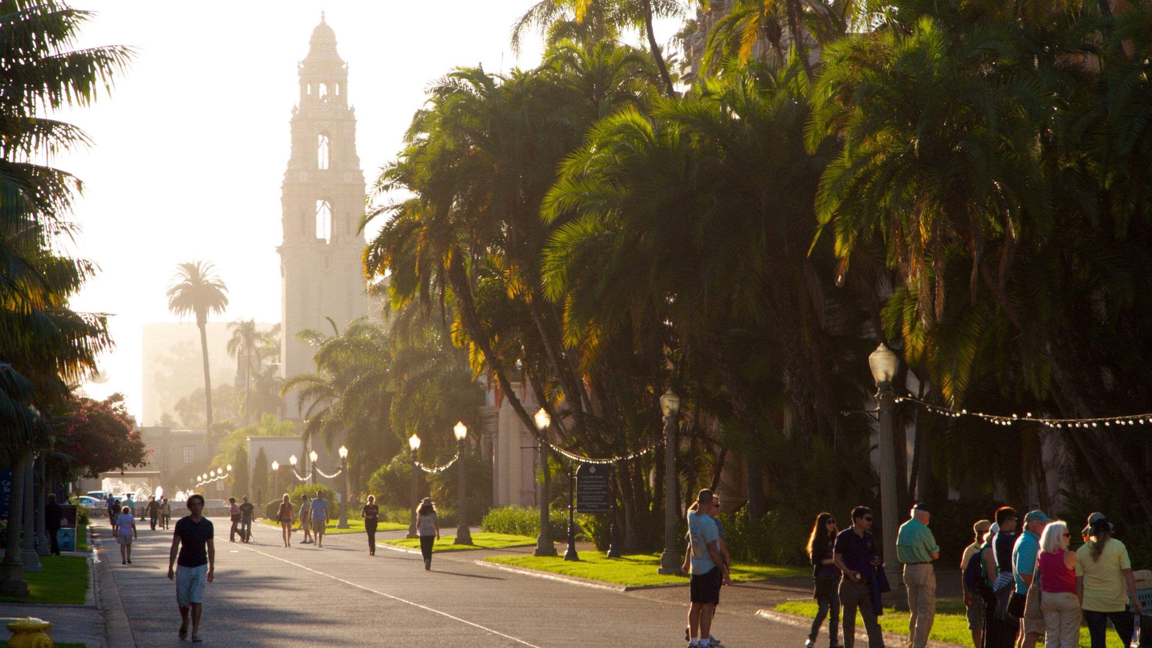 Balboa Park showing landscape views, mist or fog and a park
