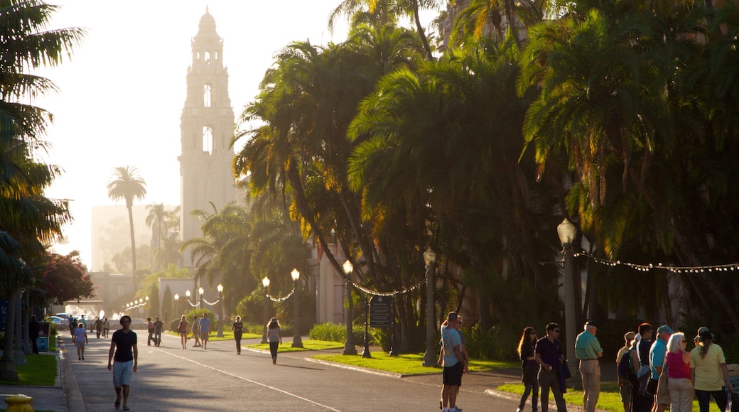 Balboa Park showing landscape views, mist or fog and a park