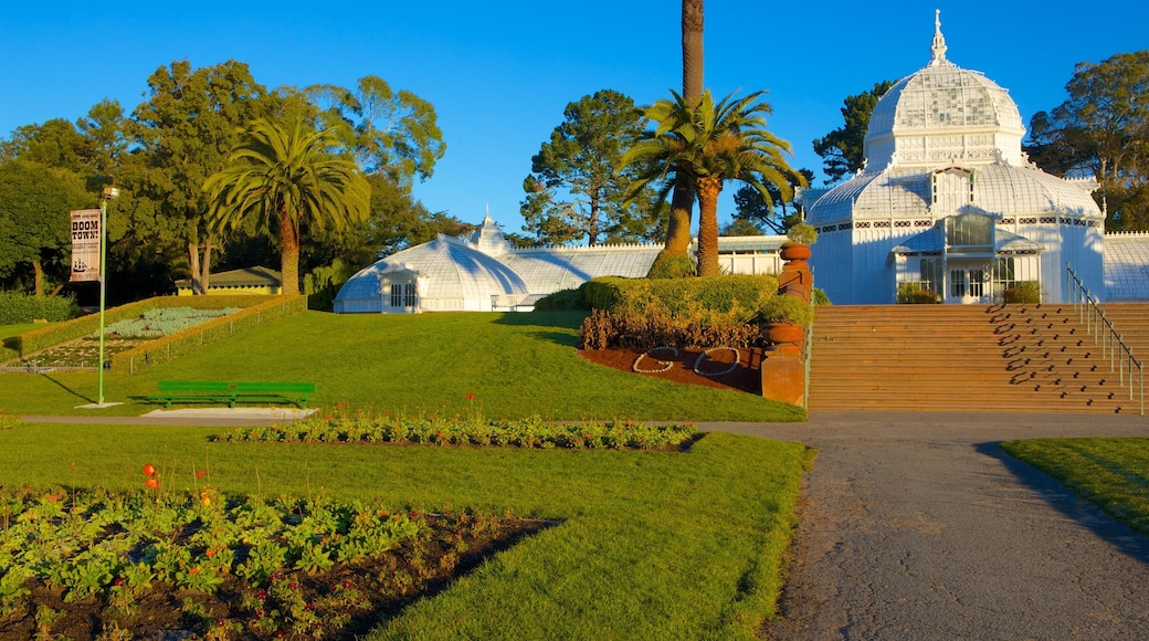 Exploring the lush greenery and stunning architecture of Golden Gate Park in San Francisco during a sunny afternoon