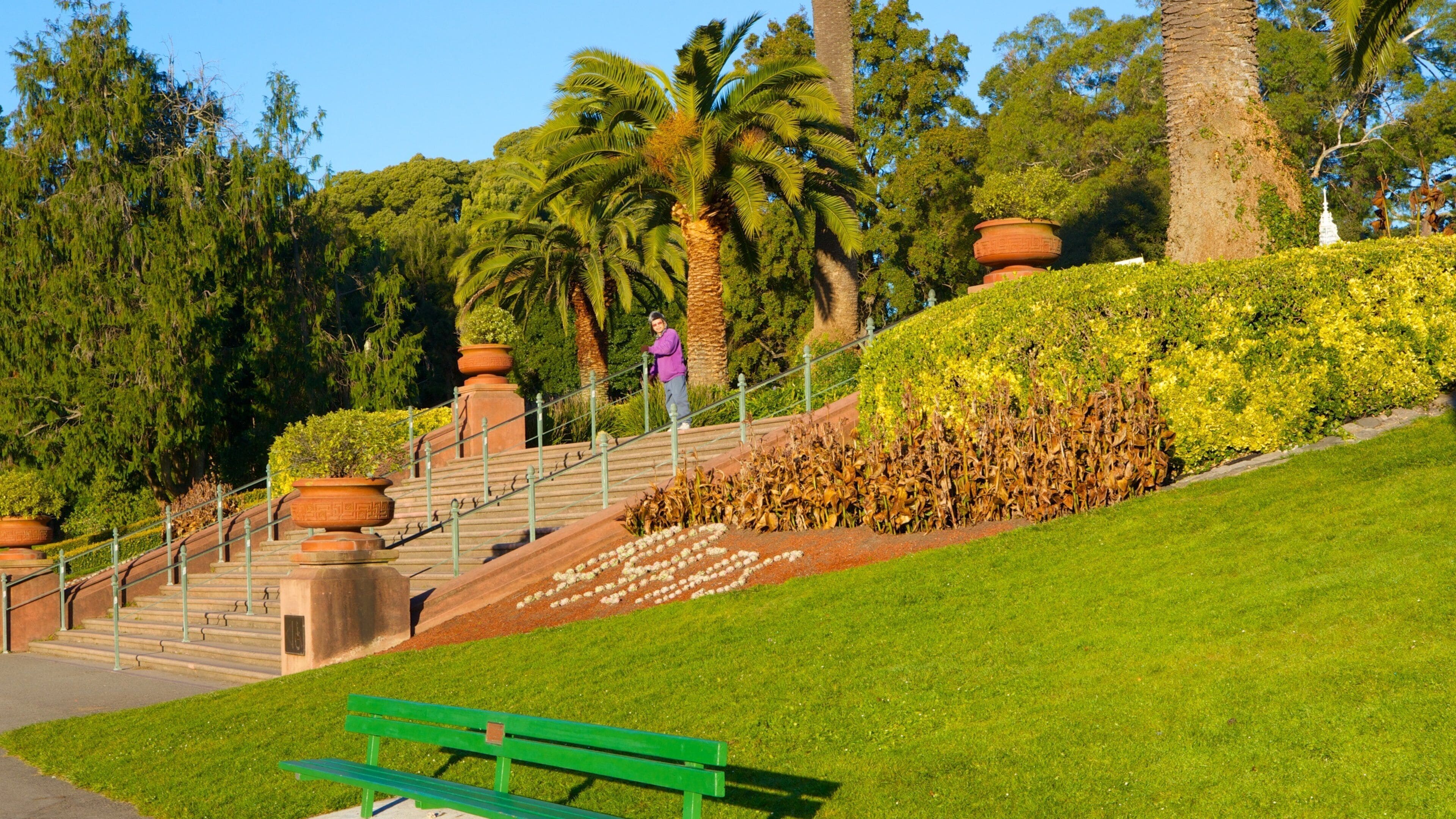 Golden Gate Park features lush greenery, palm trees, and elegant stairways in San Francisco's vibrant landscape during a sunny day