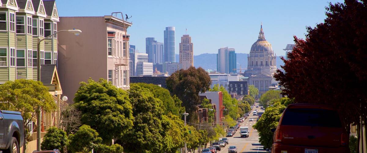 Alamo Square featuring a high rise building and a city