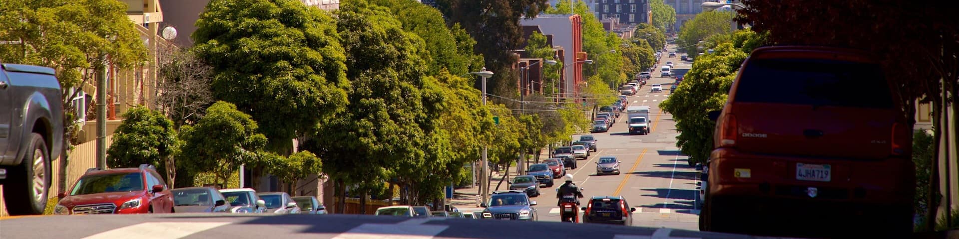 Alamo Square which includes a skyscraper and a city