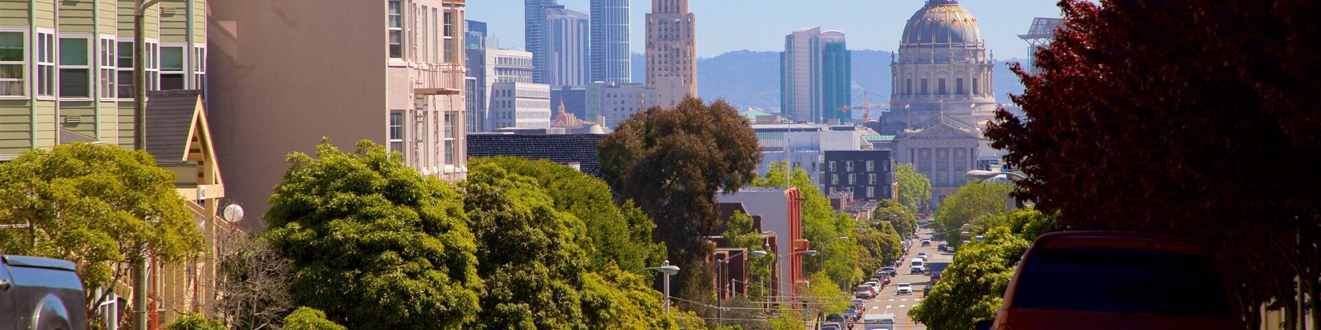 Alamo Square featuring a high rise building and a city