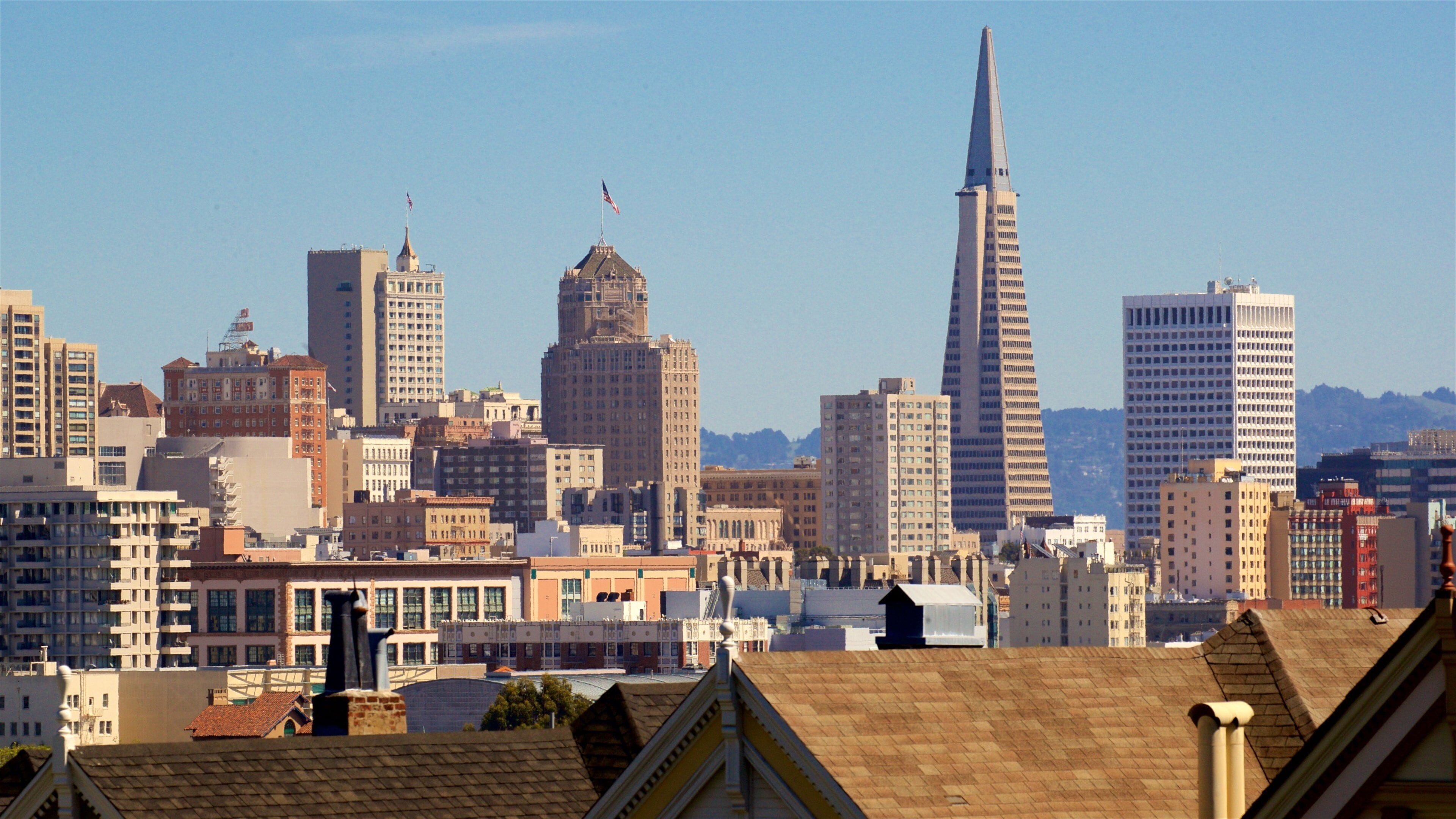 Alamo Square som viser skyskraper, landskap og by