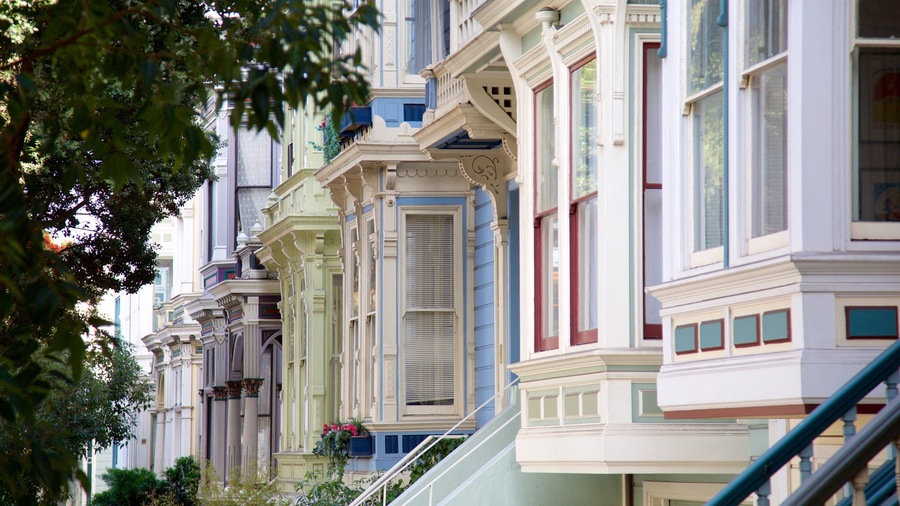 Alamo Square showing heritage architecture, a house and a coastal town