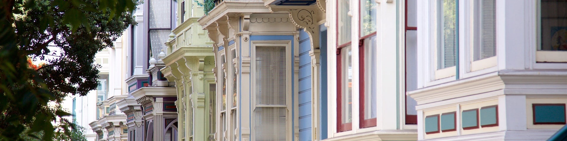 Alamo Square showing heritage architecture, a house and a coastal town