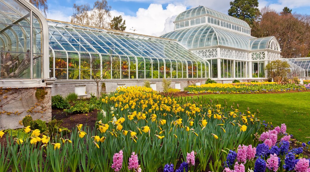 Seattle public conservatory of flowers at Volunteer Park.