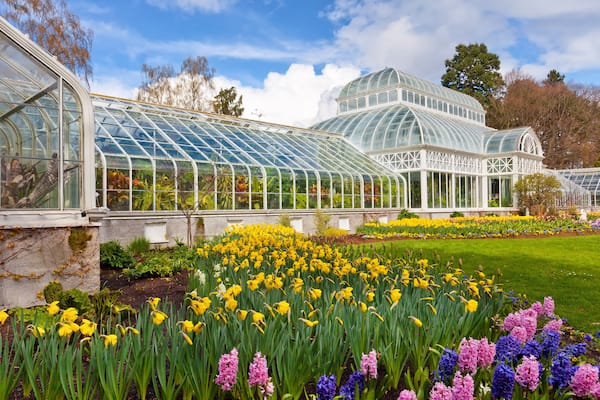 Seattle public conservatory of flowers at Volunteer Park.