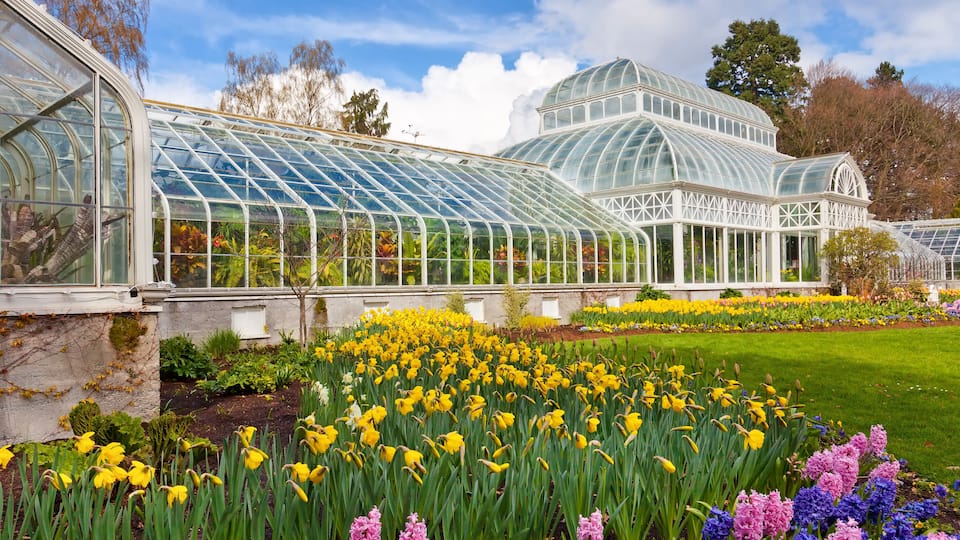 Seattle public conservatory of flowers at Volunteer Park.