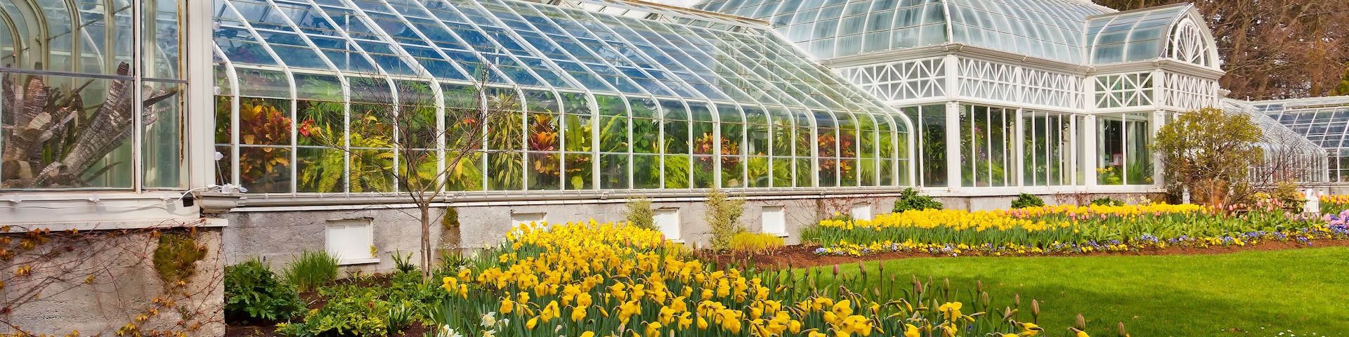 Seattle public conservatory of flowers at Volunteer Park.