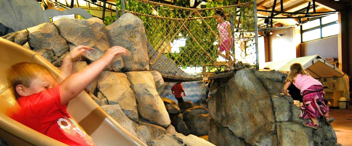 Woodland Park Zoo mostrando un parque infantil y también niños