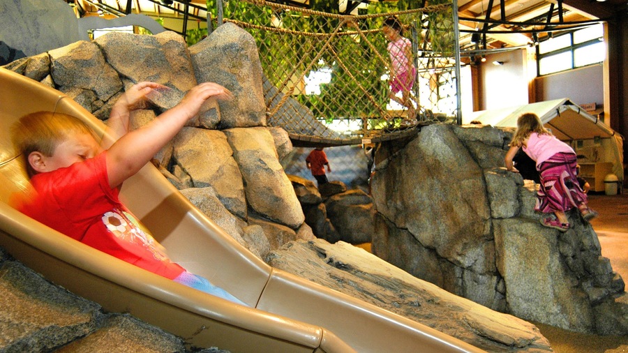 Woodland Park Zoo showing a playground as well as children