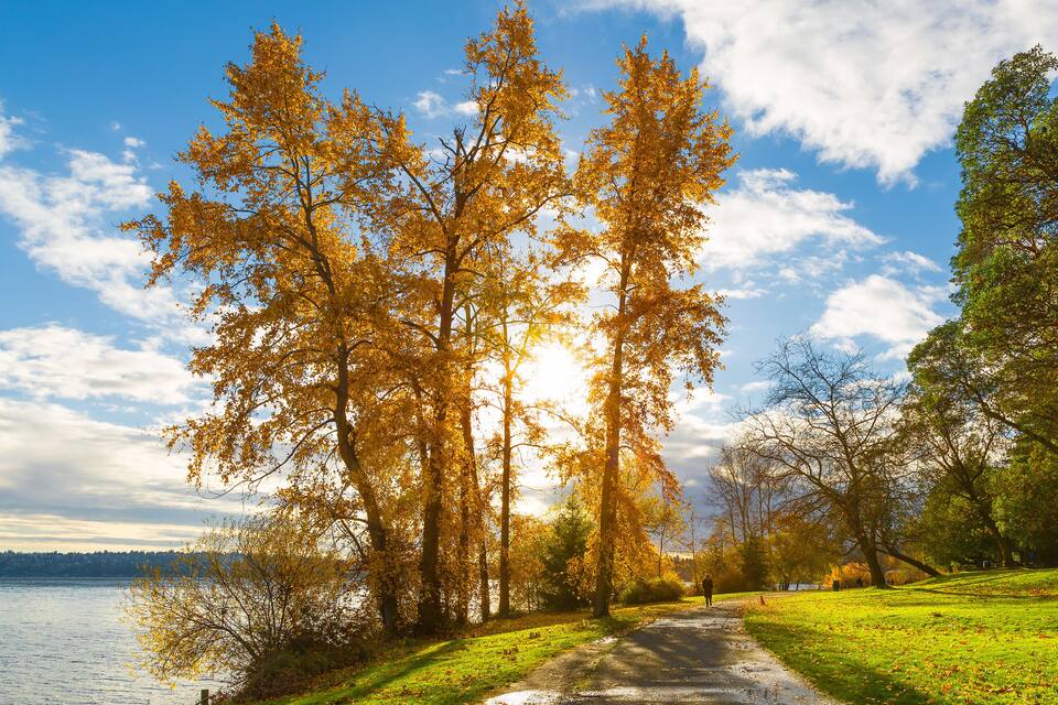 A park with autumn trees, a lake, and a path.
