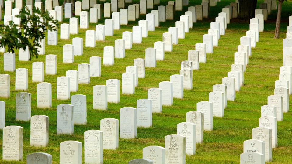 A cemetery with numerous headstones arranged in rows.