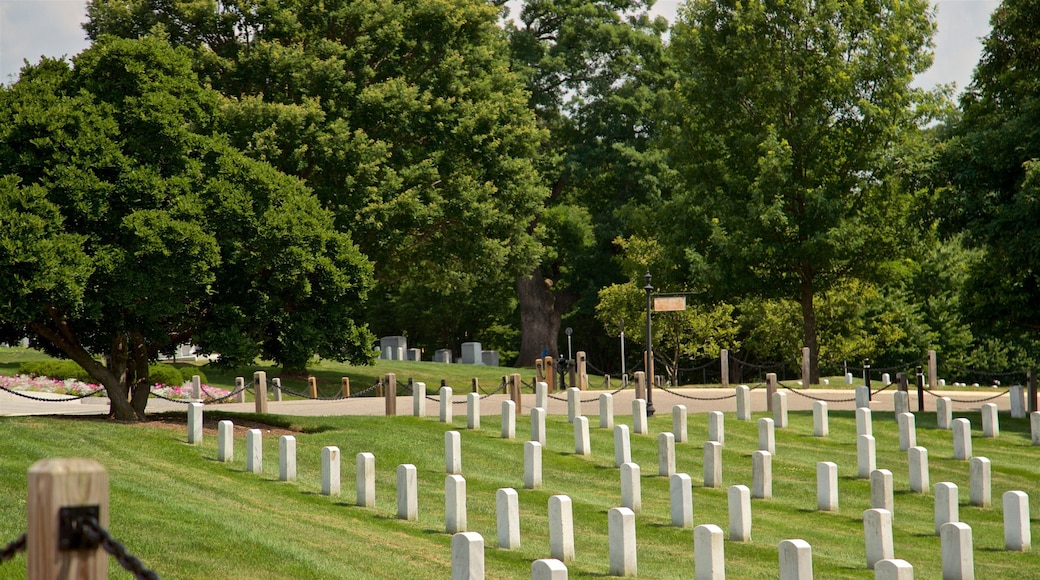 Arlington National Cemetery featuring a cemetery