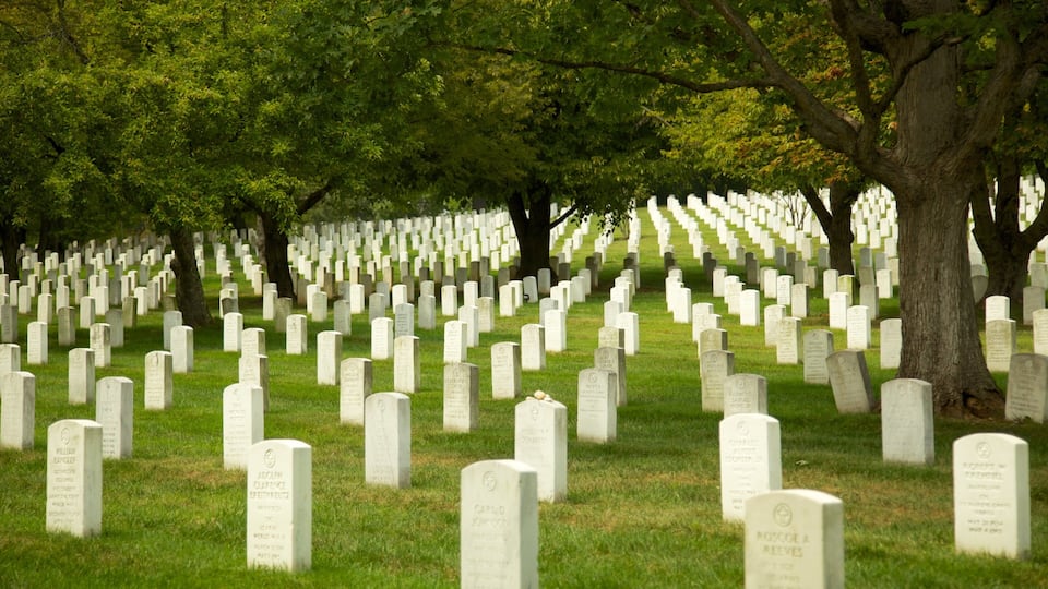 A cemetery with numerous headstones and trees.