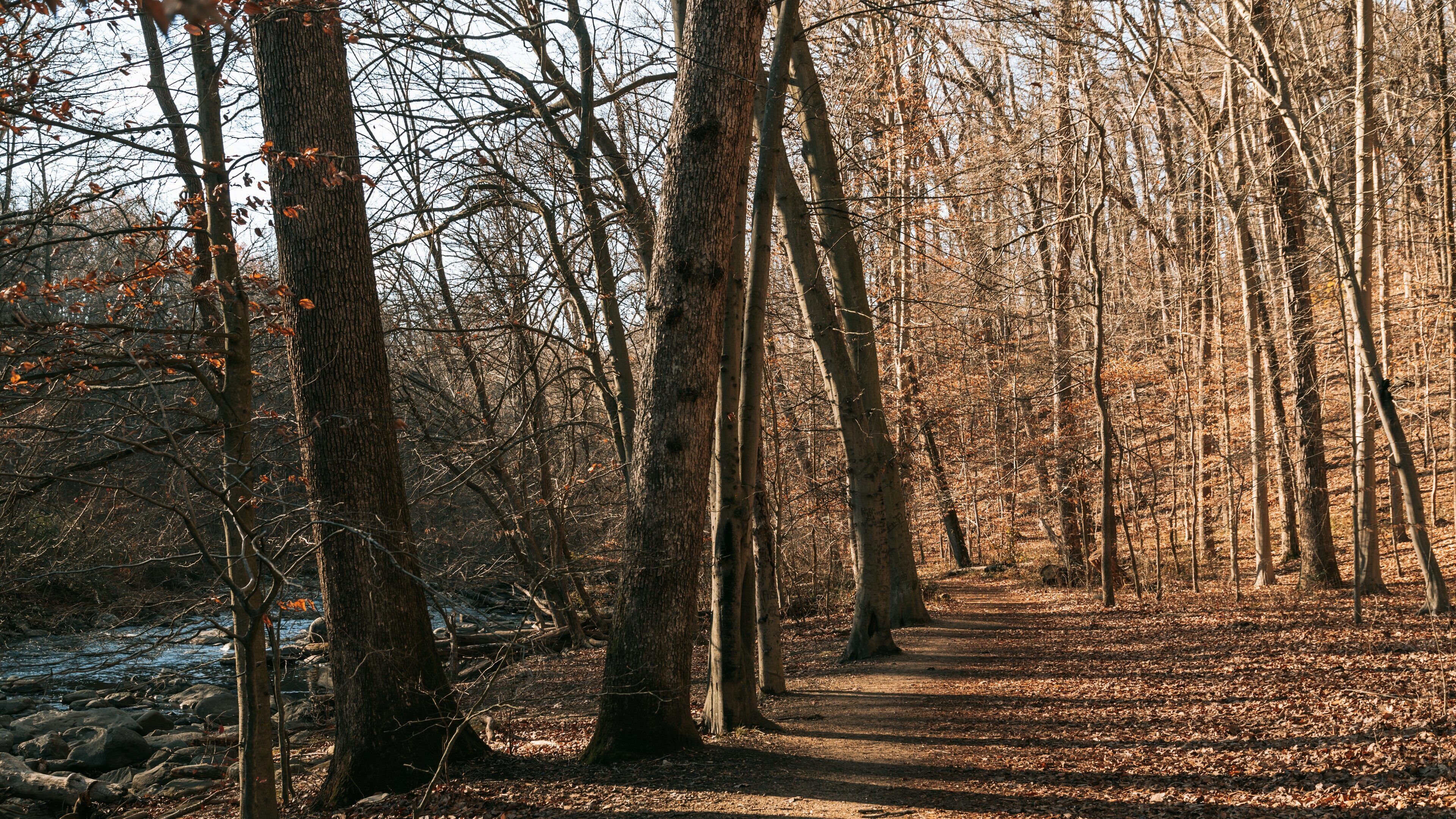 Rock Creek Park which includes forest scenes and a garden