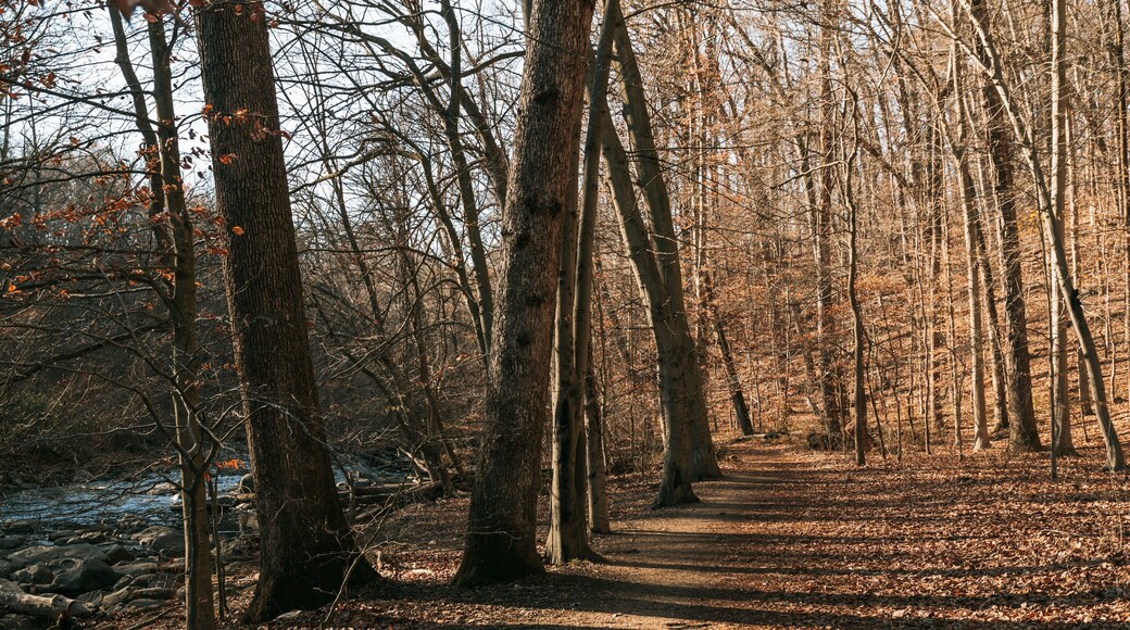Rock Creek Park which includes forest scenes and a garden