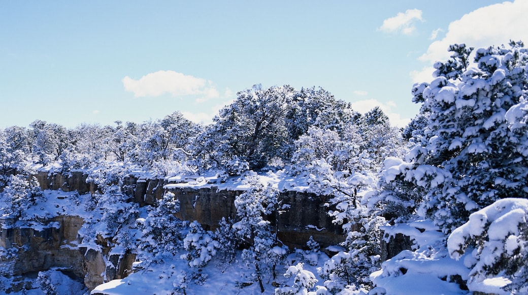Grand Canyon National Park