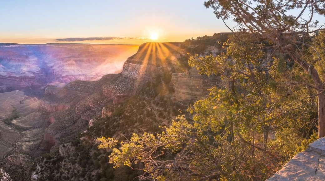 Grand Canyon zu Sonnenaufgang Panorama