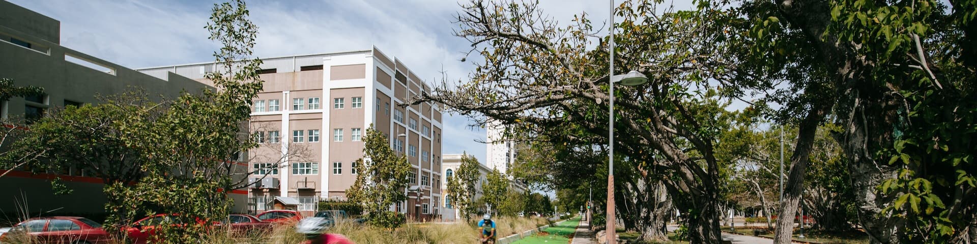 Luis Muñoz Rivera Park showing cycling
