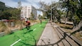 Una calle con carril bici verde, acera y árboles.