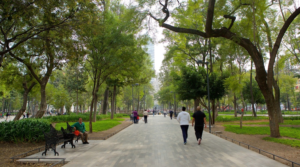 Alameda Central showing a garden and street scenes