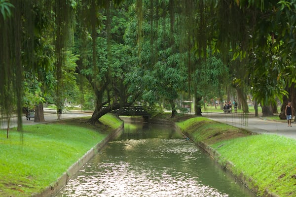Parc de Boa Vista mettant en vedette parc et rivière ou ruisseau
