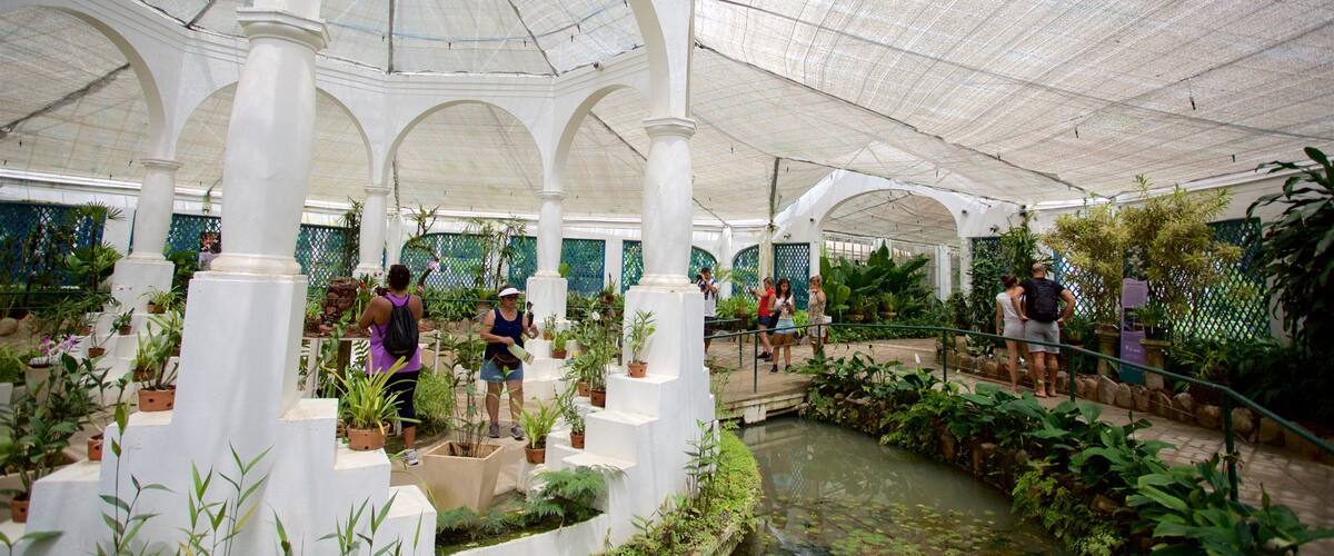 Rio de Janeiro Botanical Garden