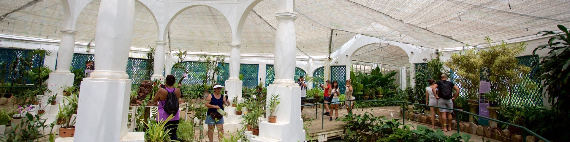 Rio de Janeiro Botanical Garden