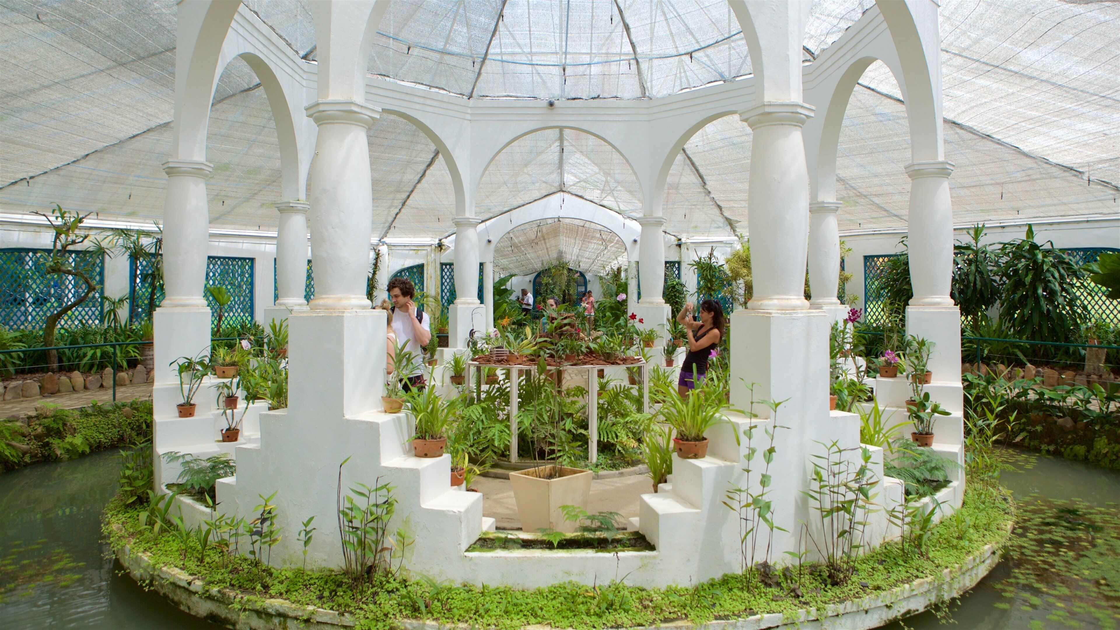 Rio de Janeiro Botanical Garden