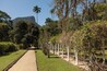 Jardín Botánico de Río de Janeiro