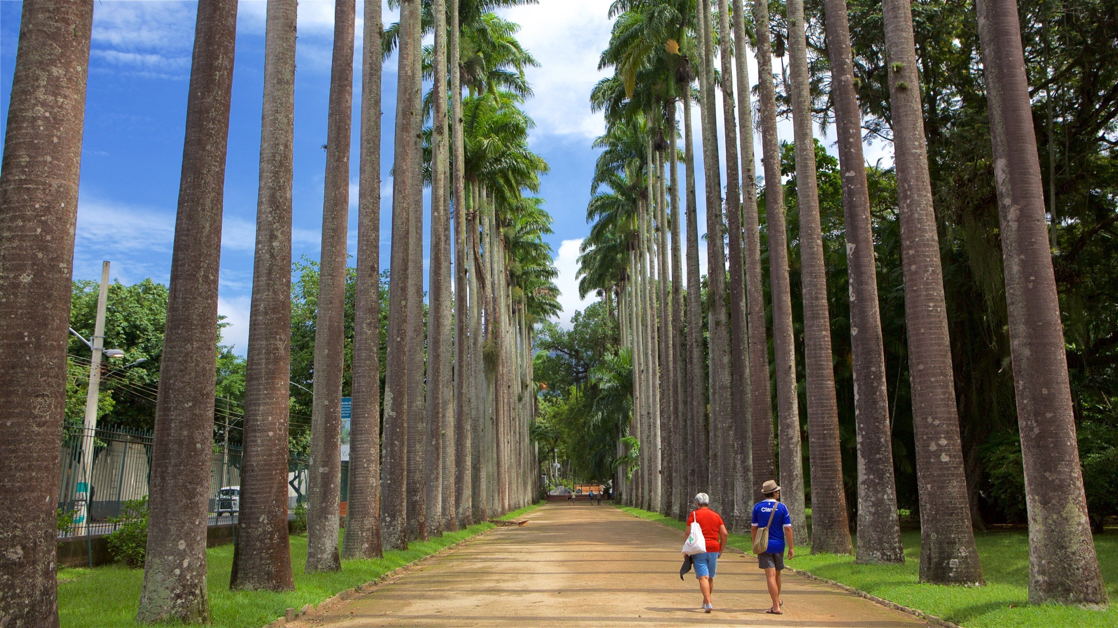 Jardim Botânico mostrando um parque assim como um casal