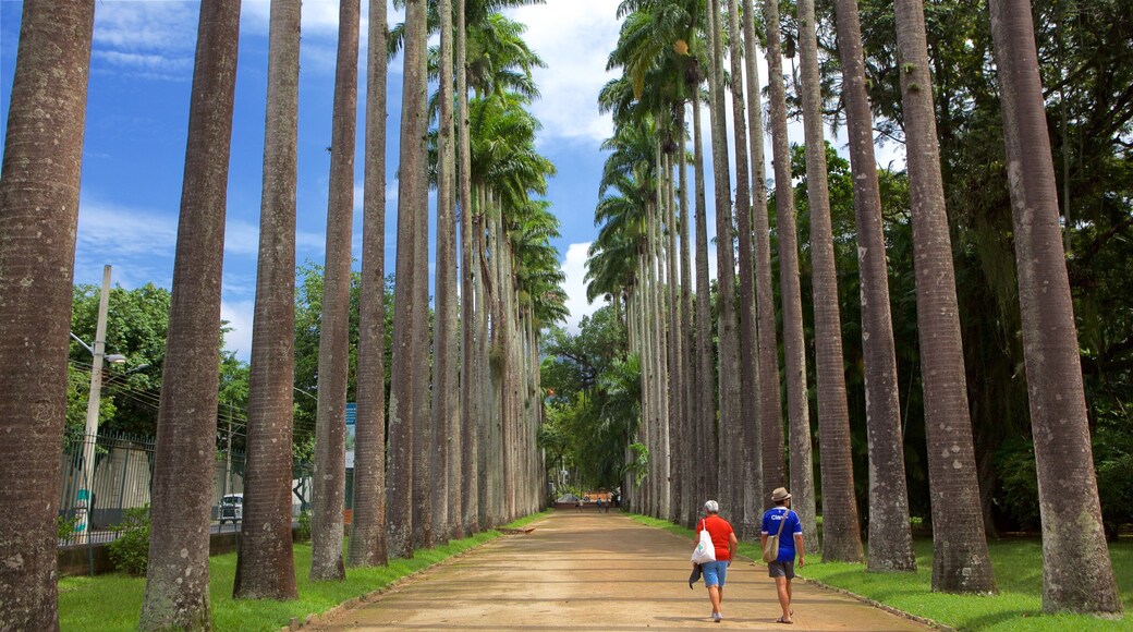 Jardim Botânico mostrando um parque assim como um casal