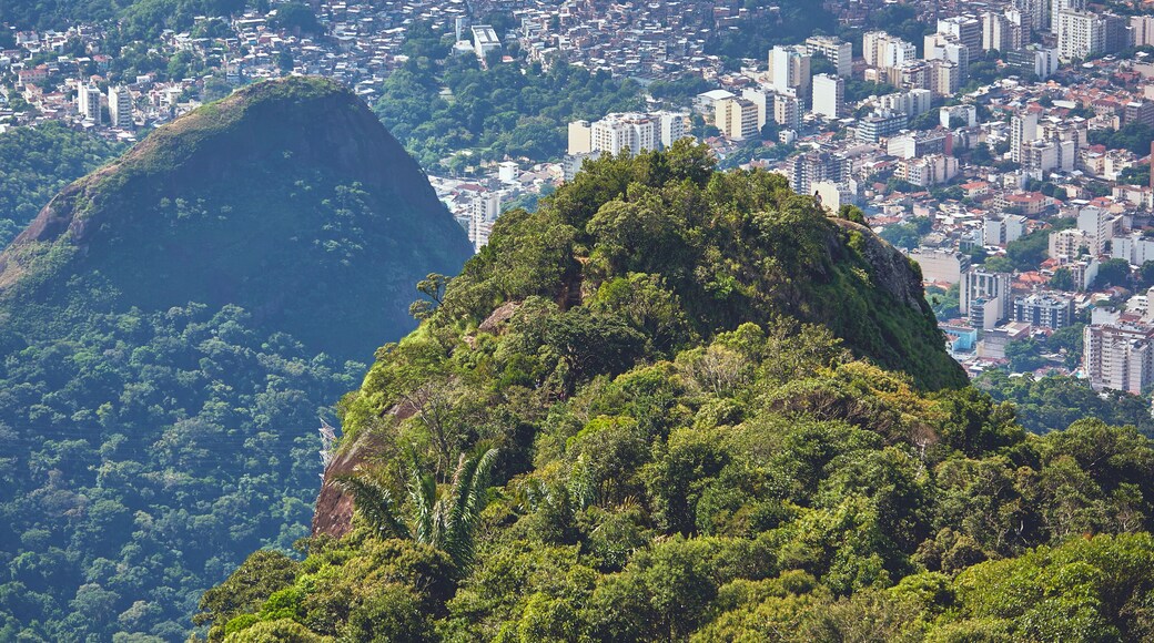Parco Nazionale di Tijuca