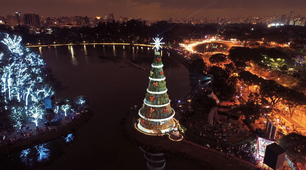 Aerial view of Christmas Tree in Ibirapuera Park, São Paulo, Brazil. Santa Claus celebration. Happy Holiday.