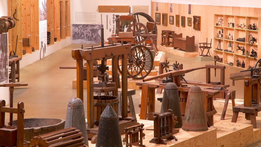 Parque de Ibirapuera mostrando vistas interiores