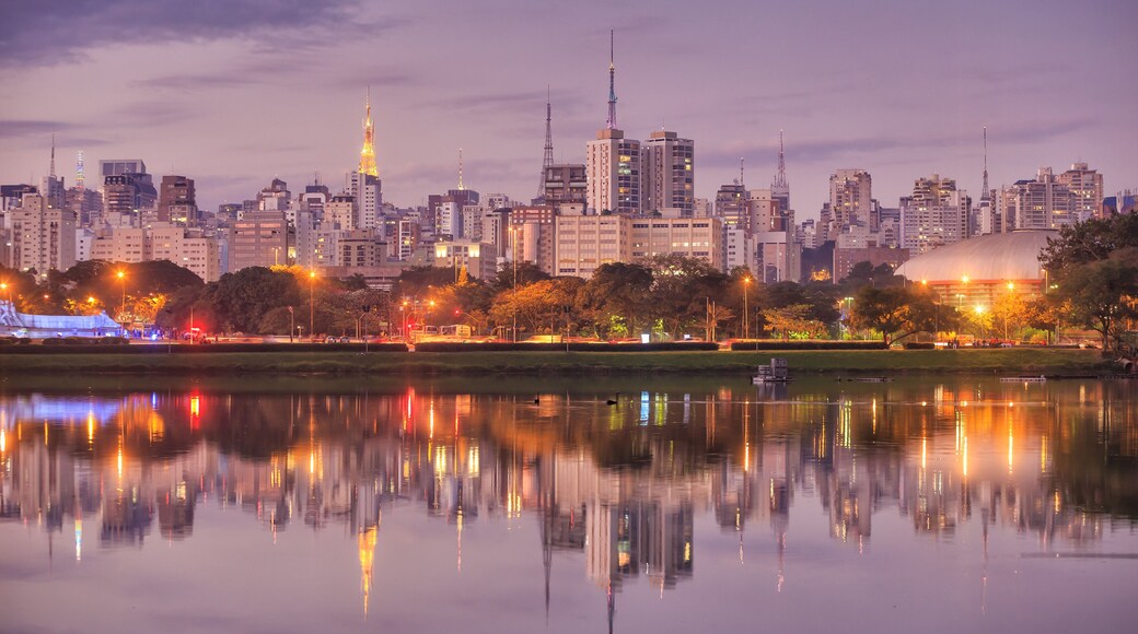 Sao Paulo skyline from Parque Ibirapuera park