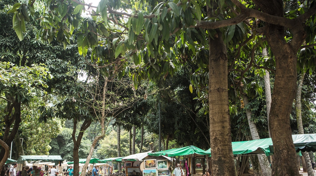 Plaza de la República