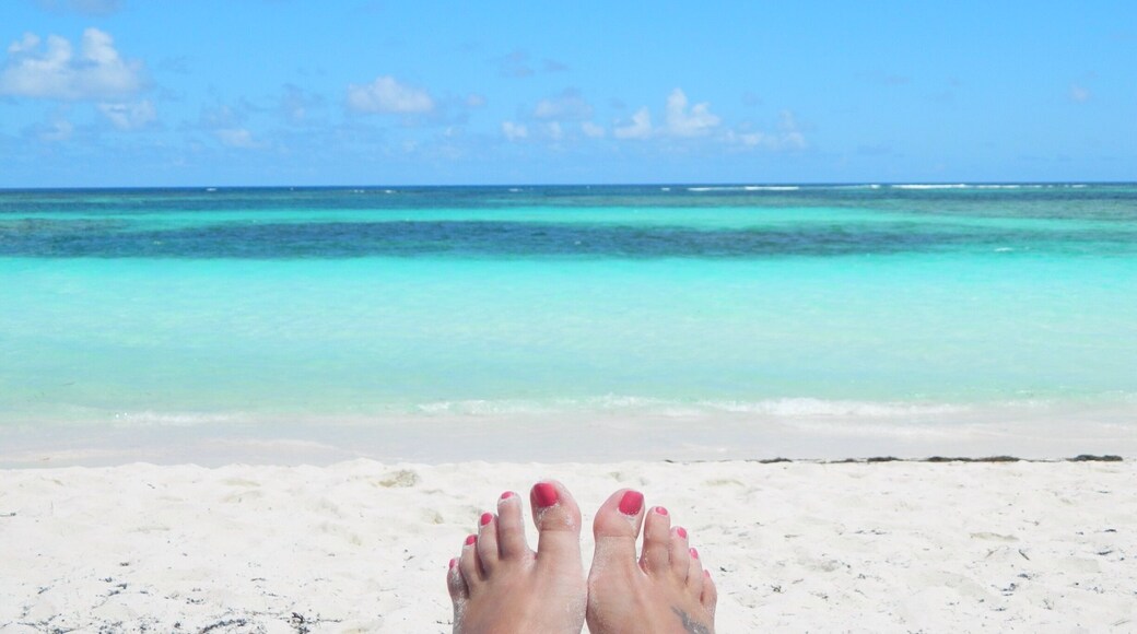 Pristine beaches all over the island. Didn't see another soul for three hours. Total seclusion.