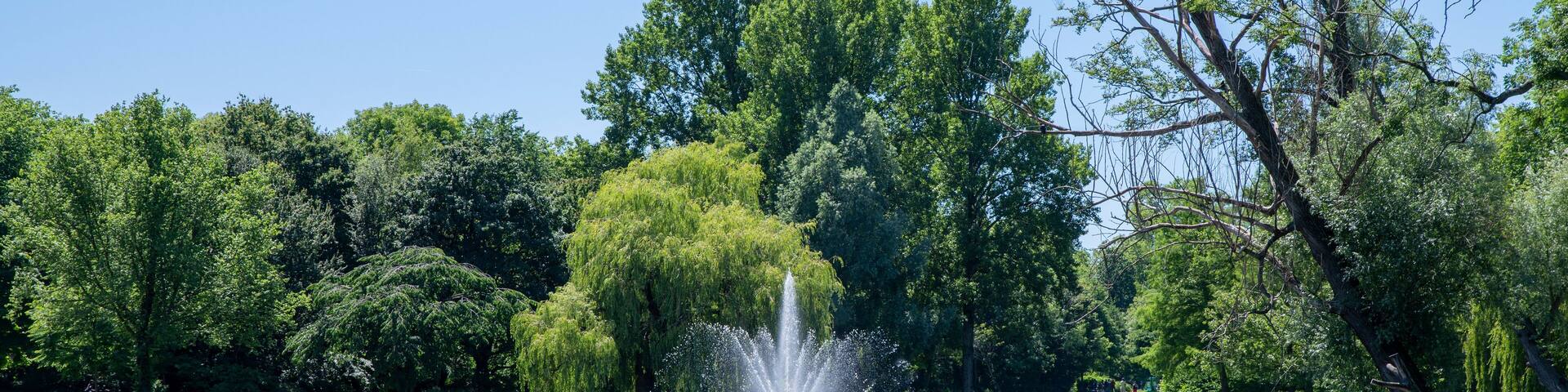 Pond At The Oosterpark Park At Amsterdam The Netherlands 22-6-2022