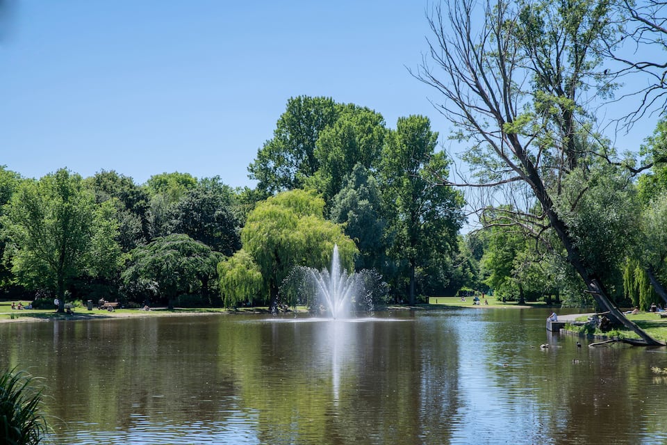 A lake with a fountain, surrounded by trees and a park with people.