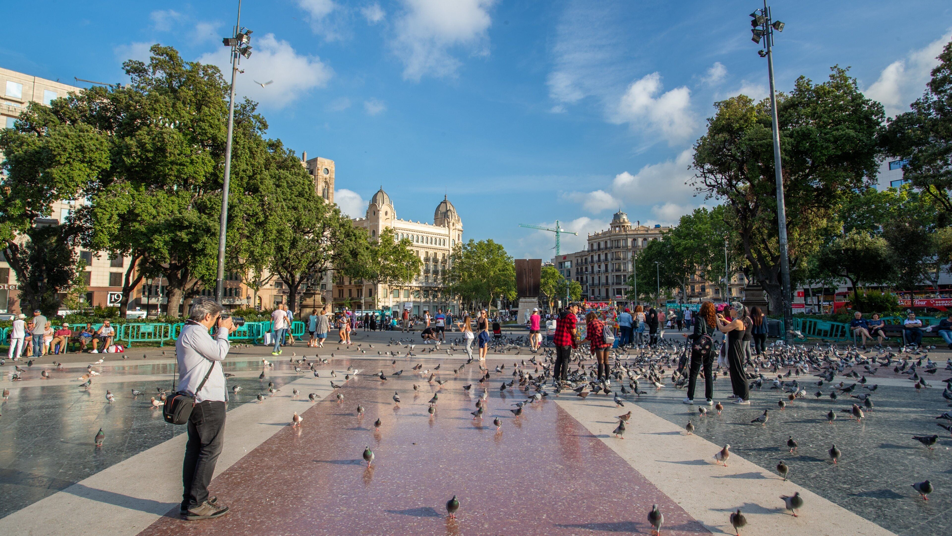 Placa de Catalunya showing a square or plaza, bird life and street scenes