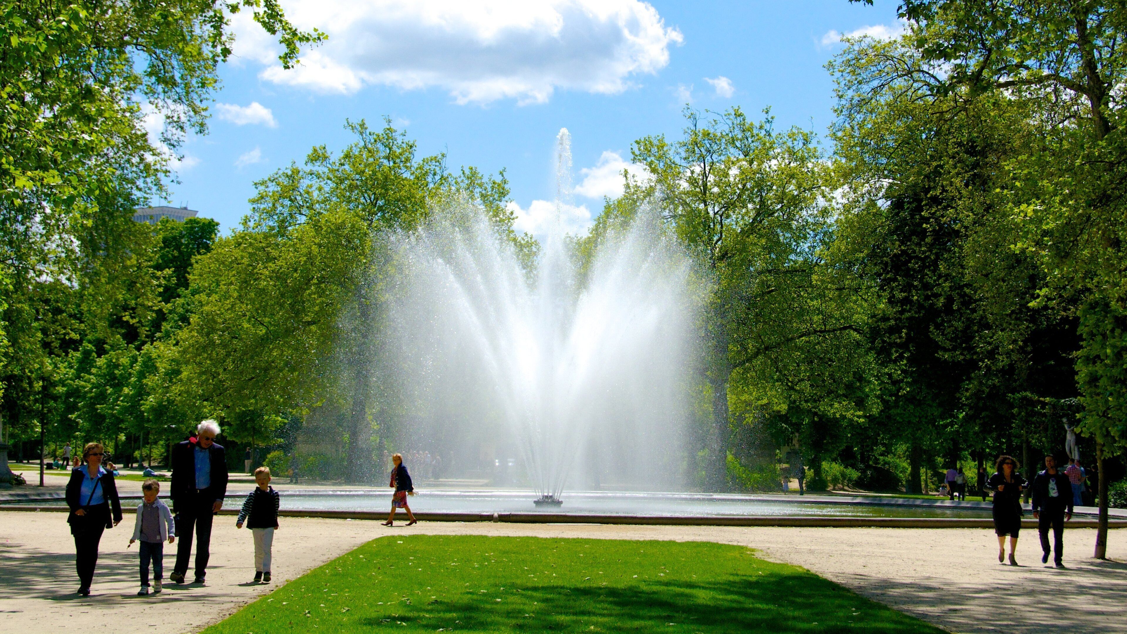 Brussels Park showing a pond, a fountain and a garden