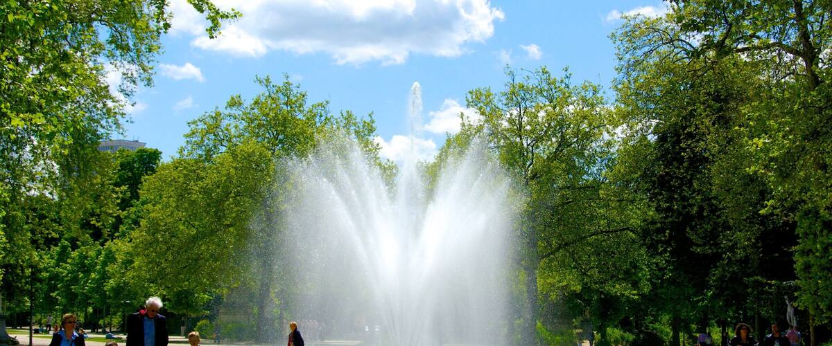 Brussels Park showing a pond, a fountain and a garden