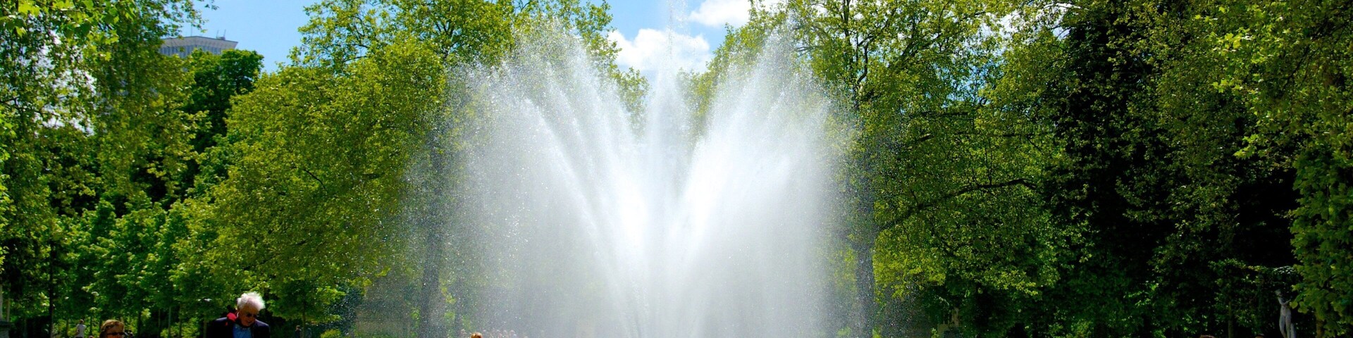 Brussels Park showing a pond, a fountain and a garden