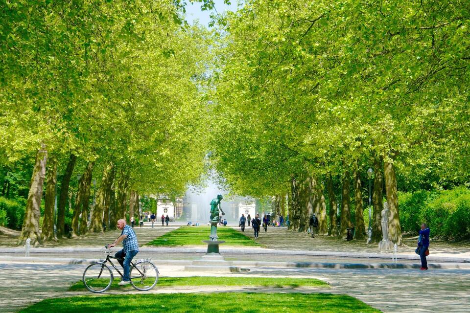 A tree-lined pathway with a cyclist, statues, and a fountain.