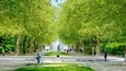Parc de Bruxelles
